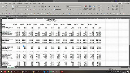 03 - Xero Excel Budget